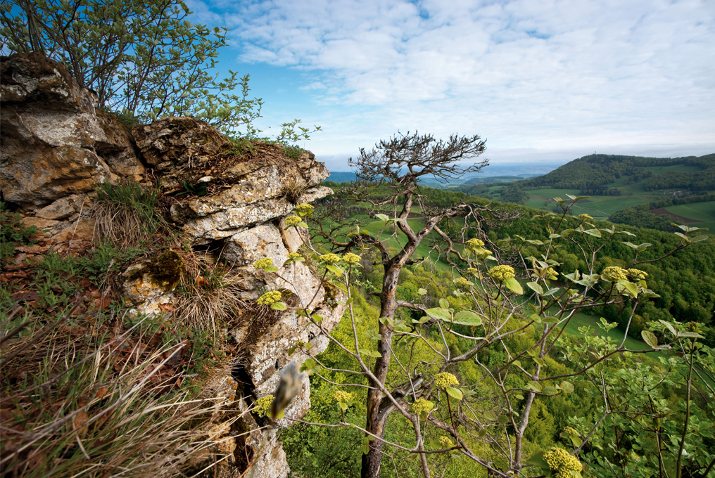 Belle vue d'un rocher