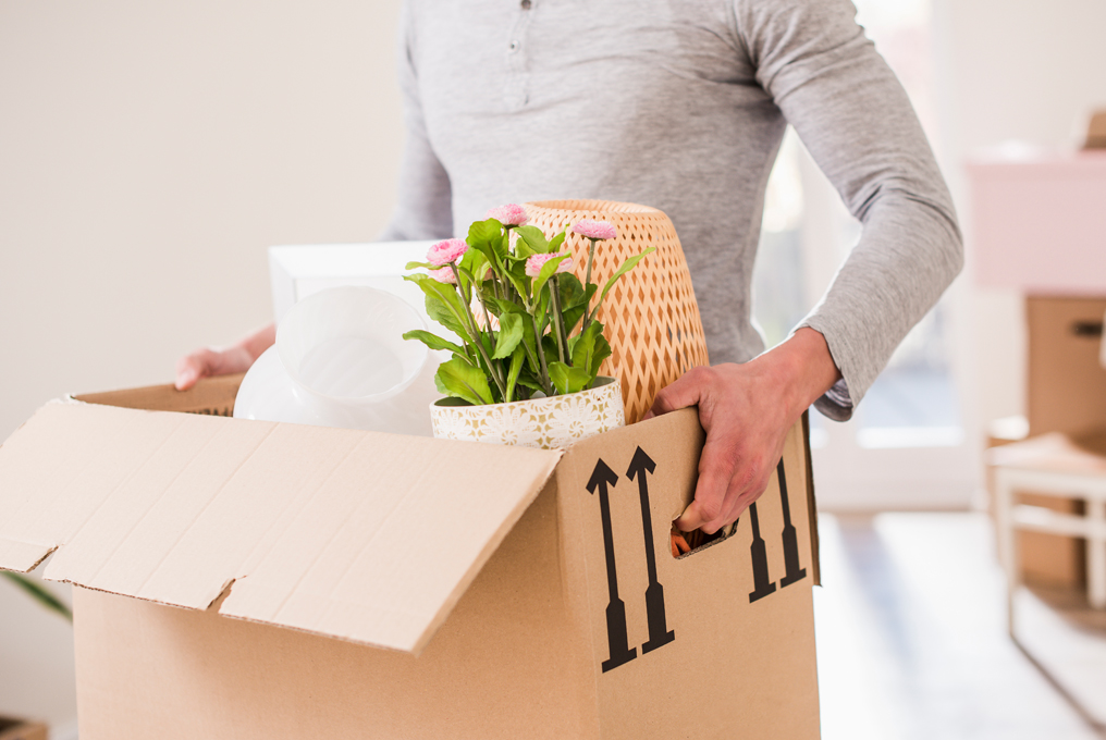 Donna piante da ginnastica