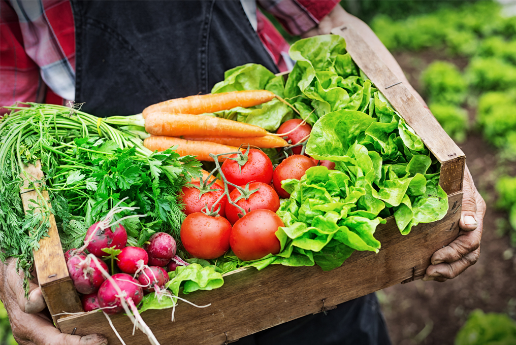 Cestino con pomodori, insalata, carote e ravanelli