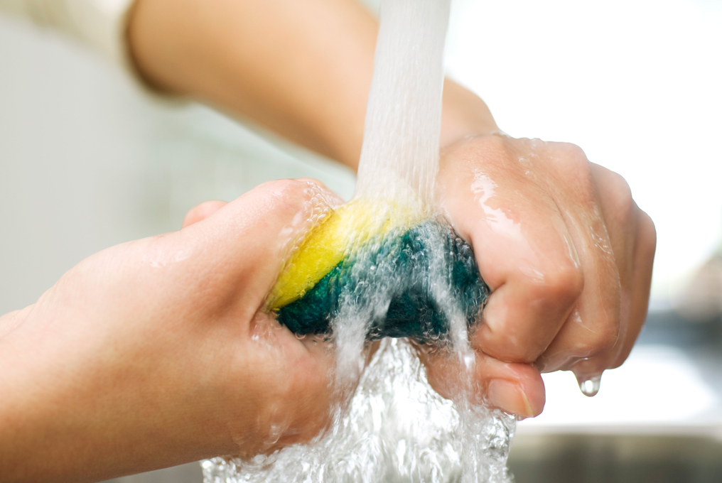 Una spugna viene strizzata sotto l'acqua corrente.