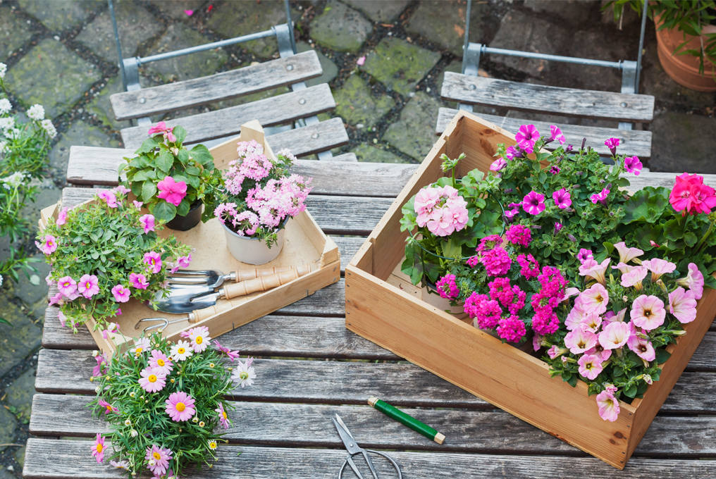 Fiori primaverili su un tavolo di legno.