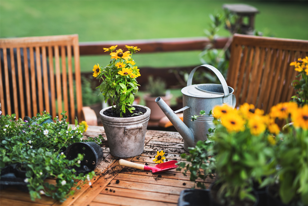 Eine Giesskanne, Eine Schaufel und ein Topf mit Blumen liegen auf einem Holztisch. Rundherum sieht man Erde welche aus dem Topf gefallen ist.