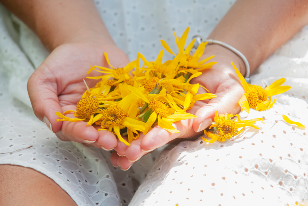 Qualcuno ha un sacco di arnica in mano.