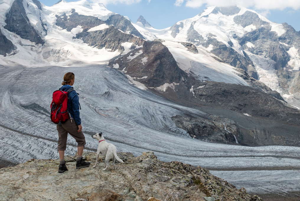 Una donna cammina con il suo cane sulle Alpi