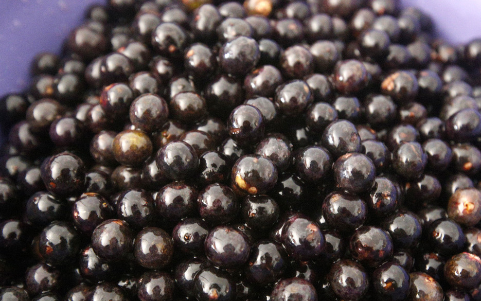 Acai-Beeren