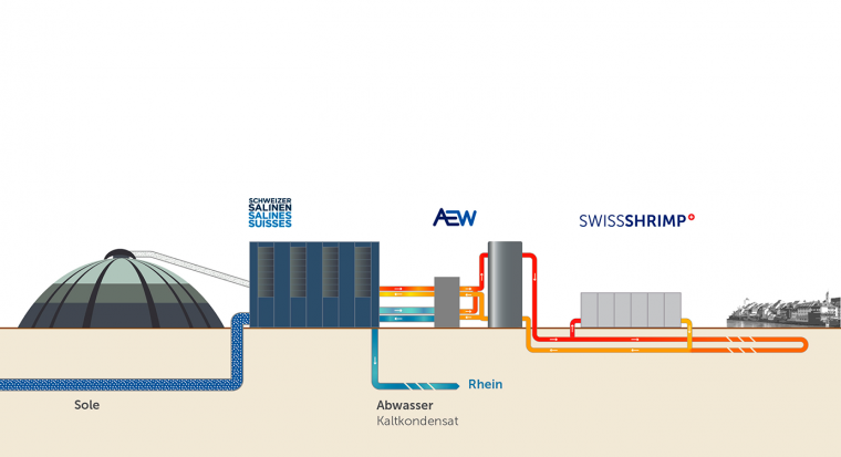 Shrimpfarm Illustration