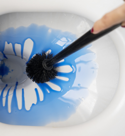Cuvette et brosse pour WC, eau bleue