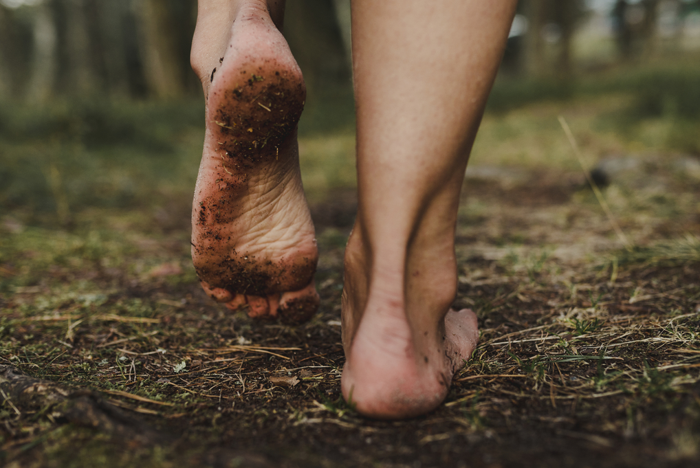 Pieds nus sur la terre