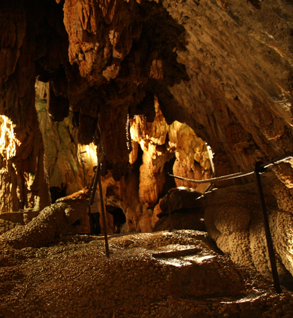 Visite guide de la grotte du Hölloch