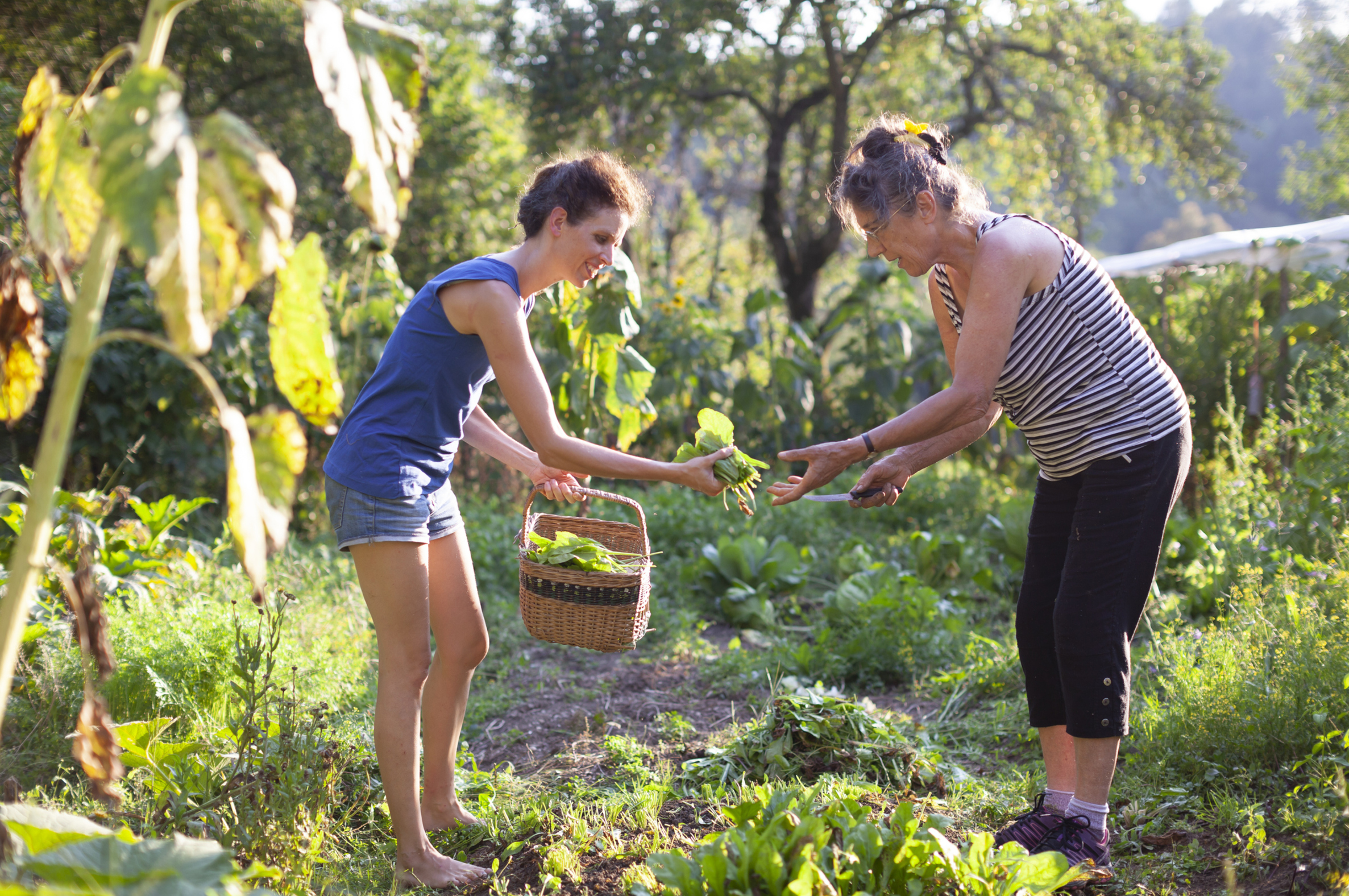 Frauen im Gartne mit Korb
