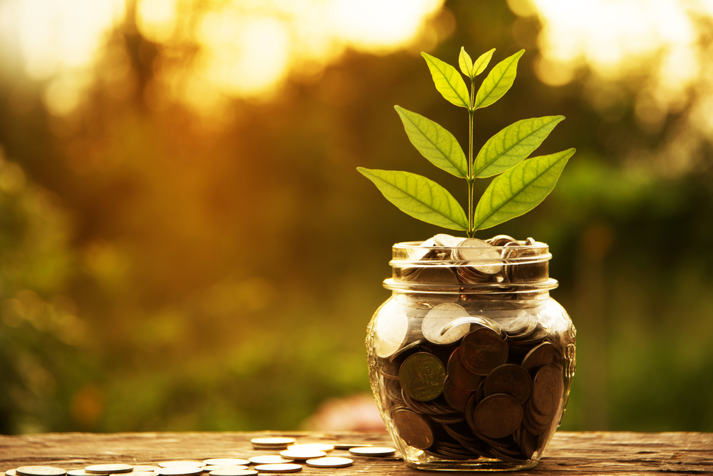 Einmachglas mit Münzen. Eine Pflanze wächst heraus