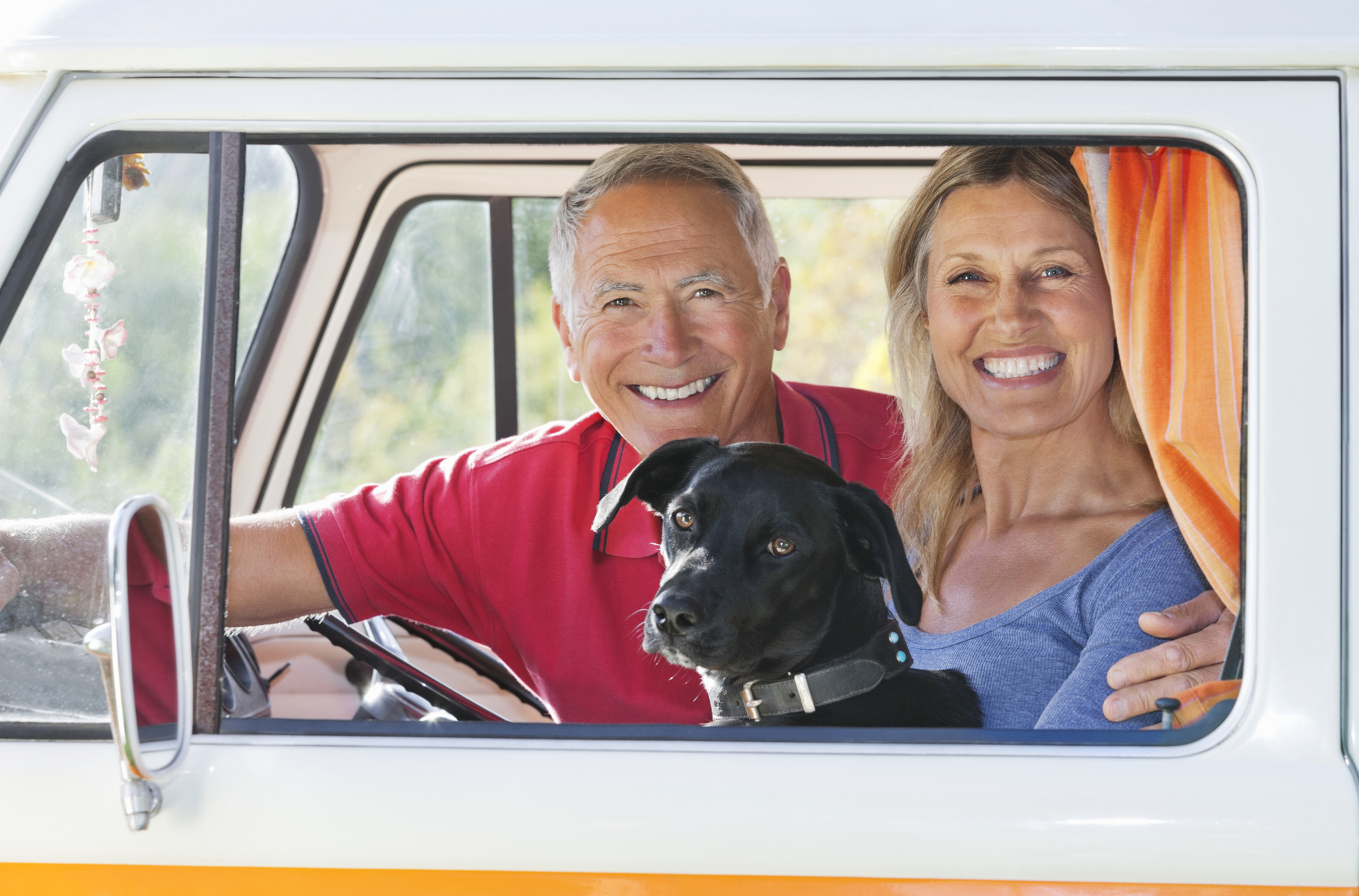 Paar mit hund im Auto