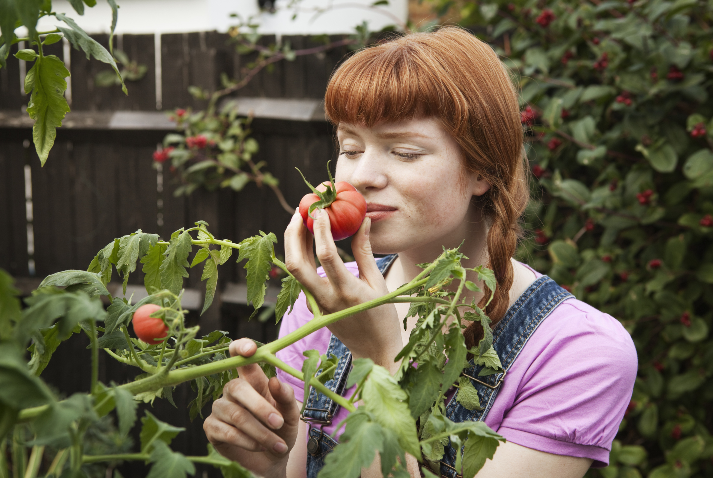 La femme sent la tomate