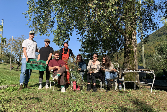 Das Intohimo-Team sammelt Schlehen ein