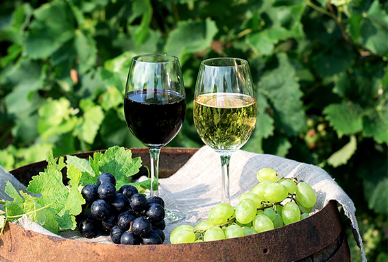 Weisswein und Rotwein