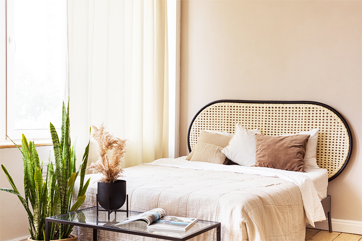 Camera da letto con pianta.