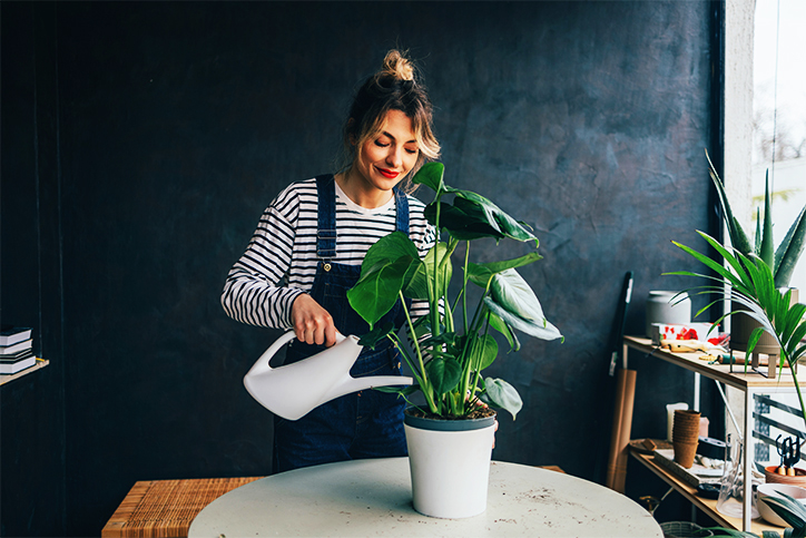 Pflanze wird gegossen von Frau